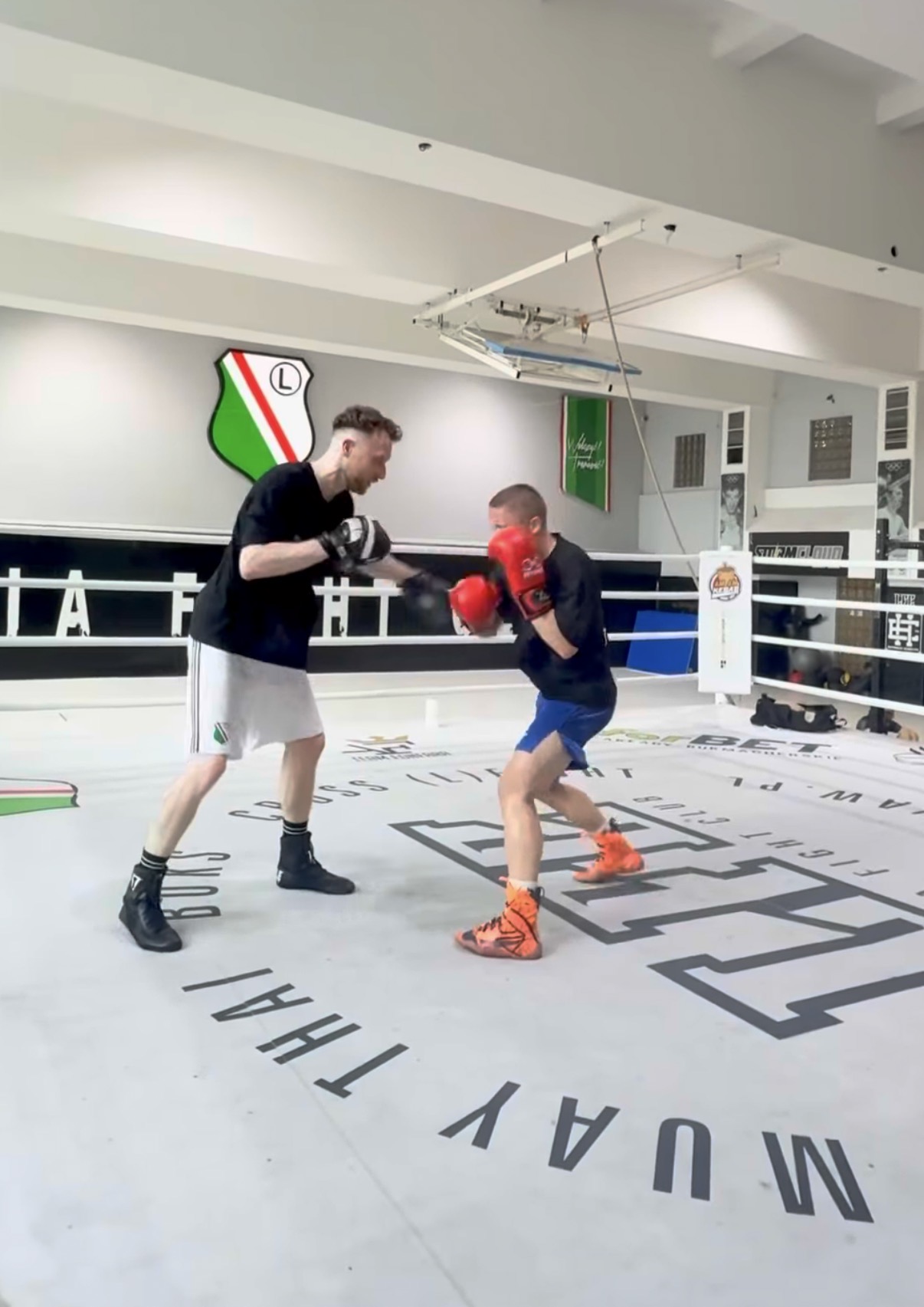 Boxing technique training